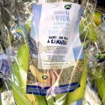 Plátano de Canarias e islas canarias se unen en una nueva promoción conjunta en la península