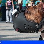 San Miguel instruye siete multas por incumplimientos de la ordenanza de perros potencialmente peligrosos