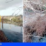 Ciudadanos denuncia vertidos de aguas fecales en el Polígono de Granadilla