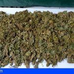Decomisan 4,5 kilos de marihuana a un hombre 78 años de edad en La Palma