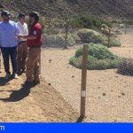 El Parque Nacional del Teide instala una red de grandes vallados para la protección de la flora autóctona