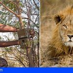 Loro Parque: compromiso con la conservación de los leones