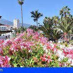 Campaña promocional  para identificar las flores y las plantas de Tenerife