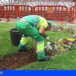 Sí se puede apoya las demandas del personal del servicio de Jardinería del Ayuntamiento de Arona