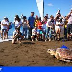 La tortuga ‘Sardina’ será seguida desde Gran Canaria por el mundo gracias a un dispositivo electrónico