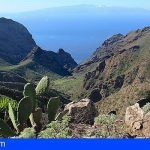 El 90% del territorio de Canarias sufre evidencias de estar en peligro de desertificación
