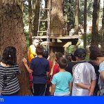 Una veintena de menores de San Miguel de Abona participan en un campamento de verano