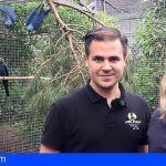 Loro Parque Fundación traslada 6 loros en peligro de extinción para su reinserción en su medio natural en Brasil