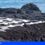 El Gobierno de Canarias abre la convocatoria el I Concurso Oficial de Sal Marina Agrocanarias