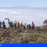 Granadilla | ‘Senderiza-t’ lleva a patear a una treintena de granadilleros a la ruta de los tajinastes en flor en el Teide