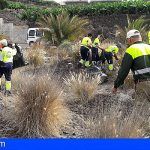 Tenerife | Retiran 33 toneladas de residuos vegetales de especies exóticas invasoras en octubre