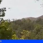 El incendio en la corona forestal de Granadilla está controlado