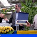 Clavijo destaca los avances del sector del plátano en 2018