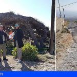 Ciudadanos Arico denuncia el lamentable estado en el que se encuentra el Pino Esrengado
