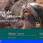 Oasis Park Fuerteventura imparte formación en medicina de mamíferos marinos