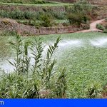 El Gobierno de Canarias concede subvenciones por 6 millones de euros al agua para riego agrícola