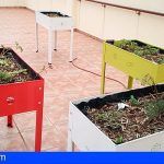 La Gomera | Vallehermoso instala mesas de cultivo en su residencia de ancianos