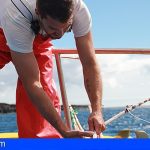 Canarias | Subvenciones para jóvenes pescadores y para la sustitución o modernización de motores