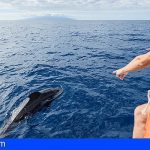 El Cabildo de Tenerife pide que se limiten las licencias para la observación de cetáceos