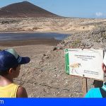 El Cabildo fomenta la conservación de la avifauna de la costa de El Médano