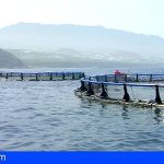 Canarias otorga 8 millones para compensar sobrecostes en el sector pesquero