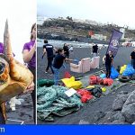 Gran limpieza de plástico y una suelta de tortugas de Loro Parque por el Día Mundial de los Océanos