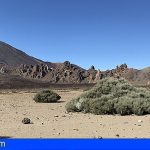 Tenerife | El origen de la caldera de Las Cañadas desde una nueva perspectiva