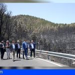 Pedro Sánchez visita las zonas afectadas por el incendio de Valleseco, en Gran Canaria