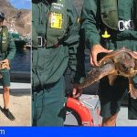 Santa Cruz | Rescatan a una tortuga boba atrapada en una red de pesca