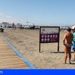 Arona abre la Playa de Los Cristianos, el agua cuenta con los valores correctos de seguridad