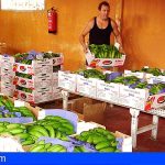 Los PGE del 2022 incluyen 20 millones para el transporte de mercancías del Plátano de Canarias