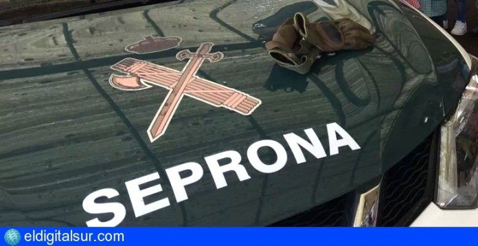 Seprona 040919