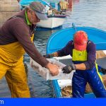 La Palma | La Cofradía de Las Nieves lanza su pescadería online ‘El Muellito’