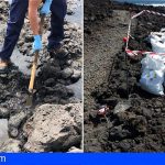 36 toneladas de piche han sido extraídas de la costa protegida del Malpaís de Güímar