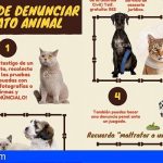 Guía online para saber cómo denunciar los delitos de maltrato animal