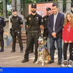 Se jubila el agente canino ‘Troy’ de la Policía Local de Santa Cruz