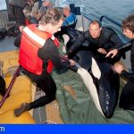 Loro Parque conmemora el 10º aniversario del rescate de la orca Morgan