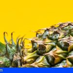 Canarias destinará 750.000€ para compensar las pérdidas de los productores de piña tropical
