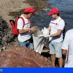 Granadilla | Cruz Roja y el Proyecto Libera luchan para erradicar la «basuraleza» en El Médano