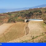 Canarias desarrolla varias líneas de investigación para regenerar los suelos