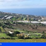 Canarias prevé paliar la escasez de superficie cultivable con las Directrices de Ordenación del Suelo Agrario