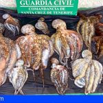 Dos personas denunciadas por la pesca ilícita de pulpos en Candelaria