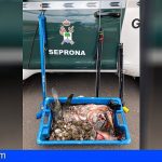Incautan en Tenerife 5 fusiles de pesca submarina, 45 kilos de pescado y formulan 24 denuncias
