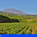 Tenerife impulsa la práctica de la rotación de cultivos en la isla