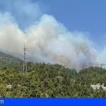 Declarado nivel 2 el incendio en Arico y el Gobierno de Canarias asume la dirección