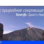Tenerife se promociona con una exposición de National Geographic en Moscú y San Petersburgo