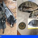 Identifican en Tacoronte a un pescador de pesca submarina con 15 kg. de capturas para venta no permitida