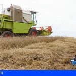 Tenerife ayuda al sector del cereal con maquinaria para el cultivo y la limpieza del grano