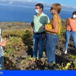 Vanoostende apela a la importancia del seguro agrario en su visita, en La Palma, a los viñedos afectados por la ola de calor