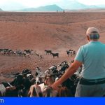 Canarias abona 150.000€ para la creación de un centro de machos de razas caprinas majoreras
